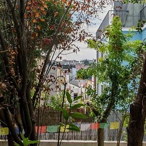  Gasthuis Lost :: Avenida House